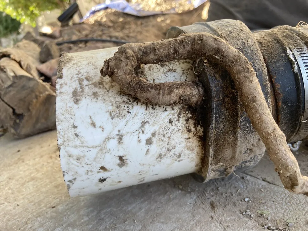 Expert emergency plumbing for homes in Enterprise, NV by Swift Rooter and Jetting