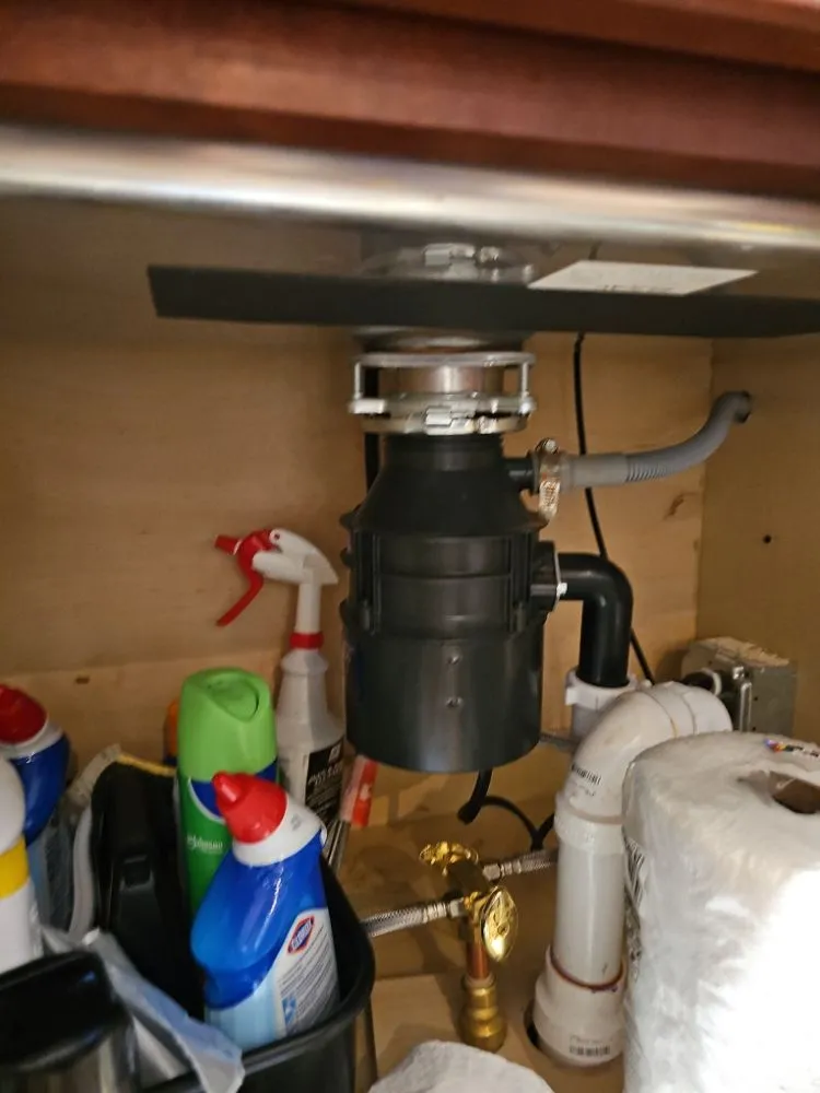 Slide of Szwarc Interior