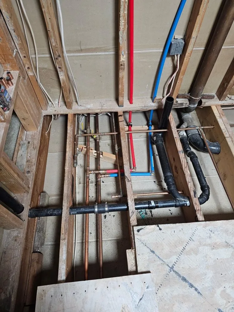 Slide of Szwarc Interior