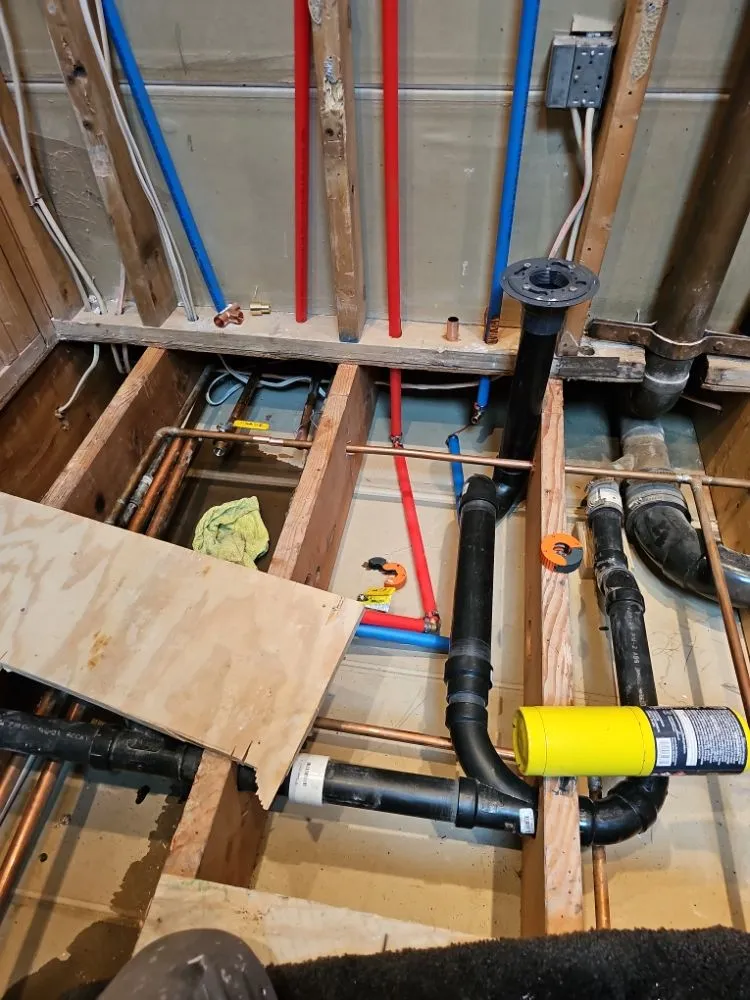 Slide of Szwarc Interior