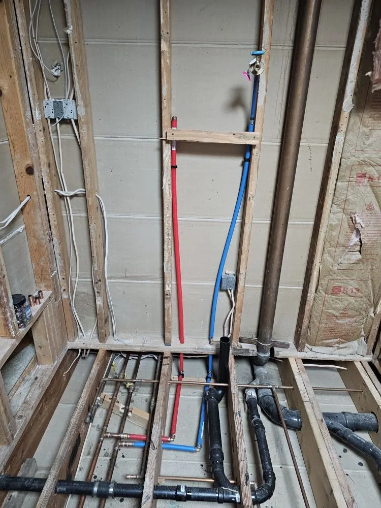 Slide of Szwarc Interior