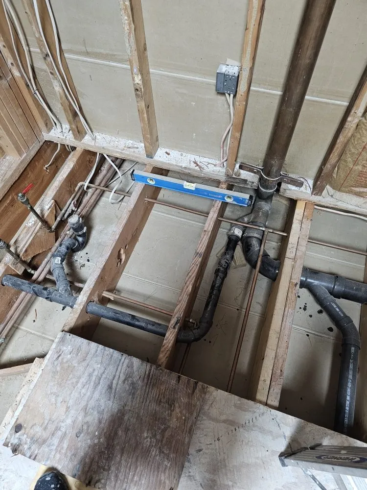 Slide of Szwarc Interior