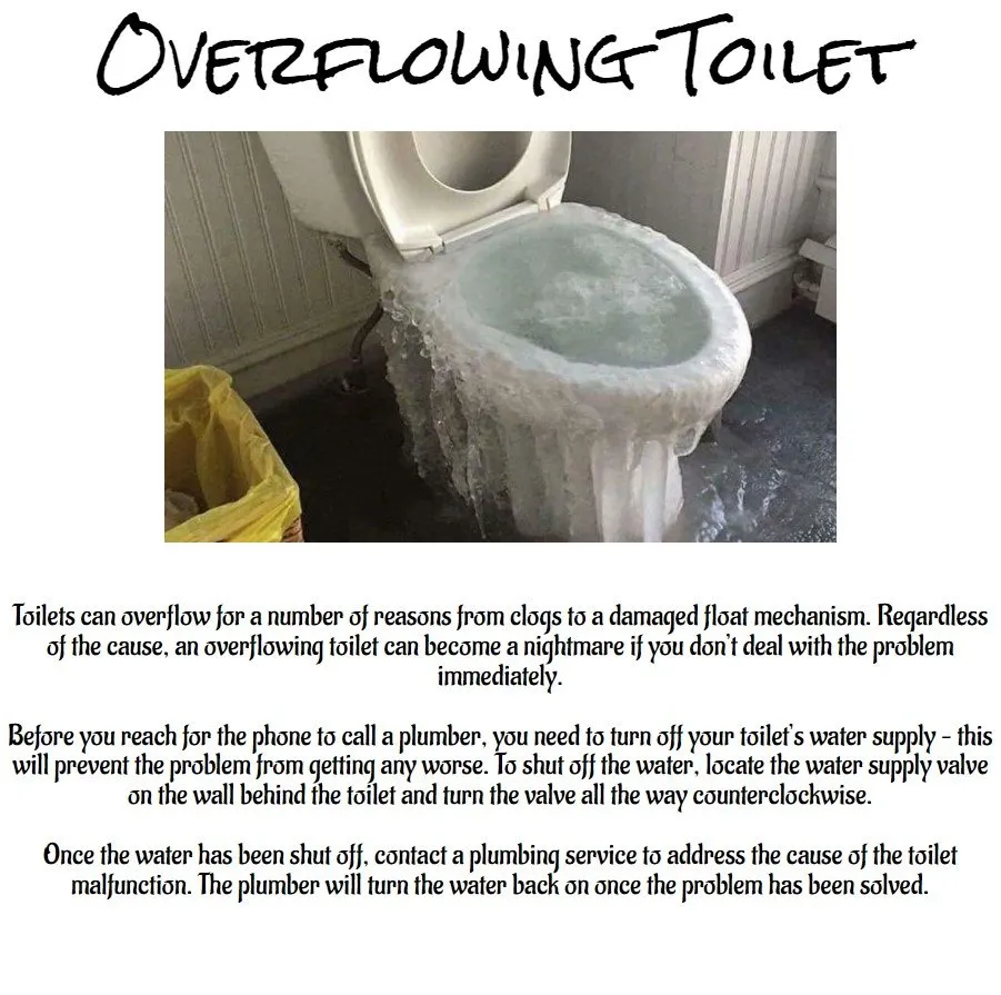 Affordable drain cleaning in Dexter, MN by T 'N G Plumbing
