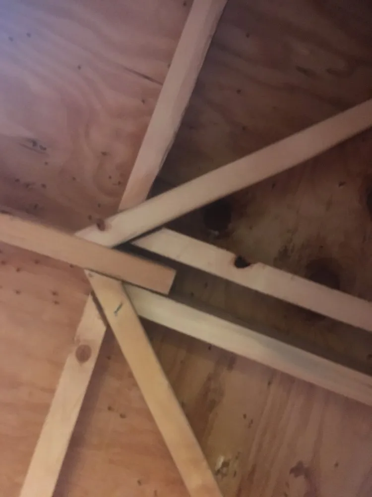 Affordable leak detection in Saint Charles, IL by T P I Building Code Consultants