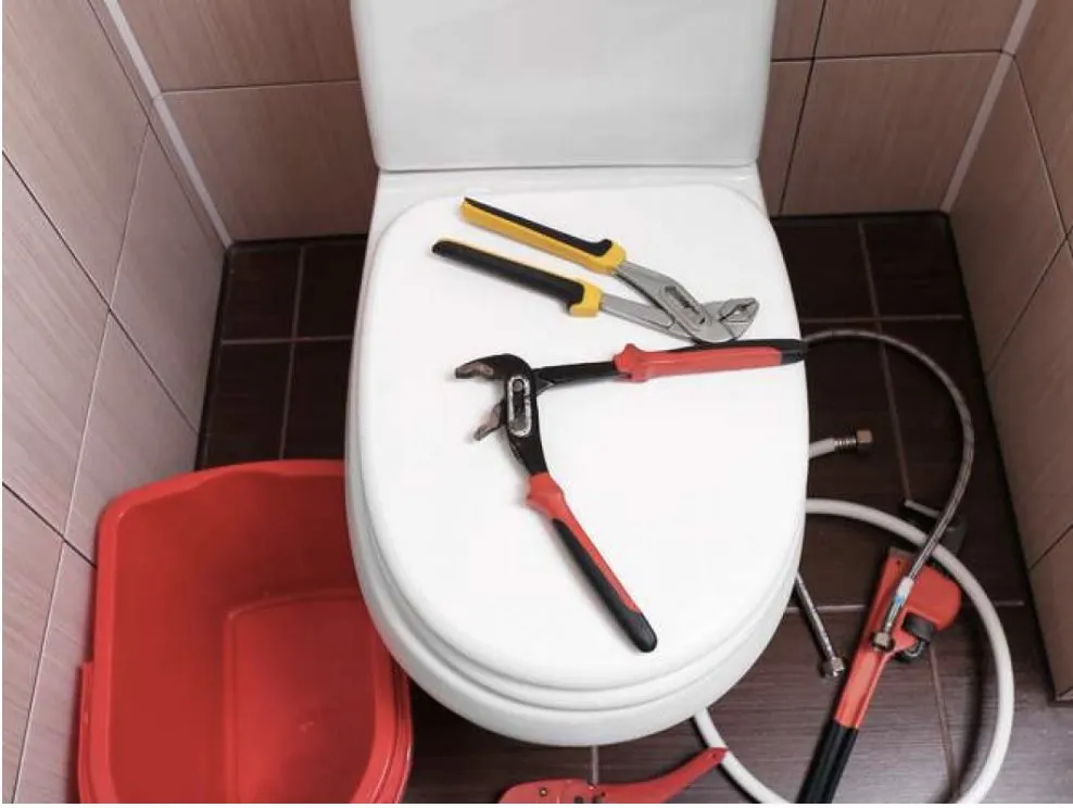 Slide of T-Rex Plumbing