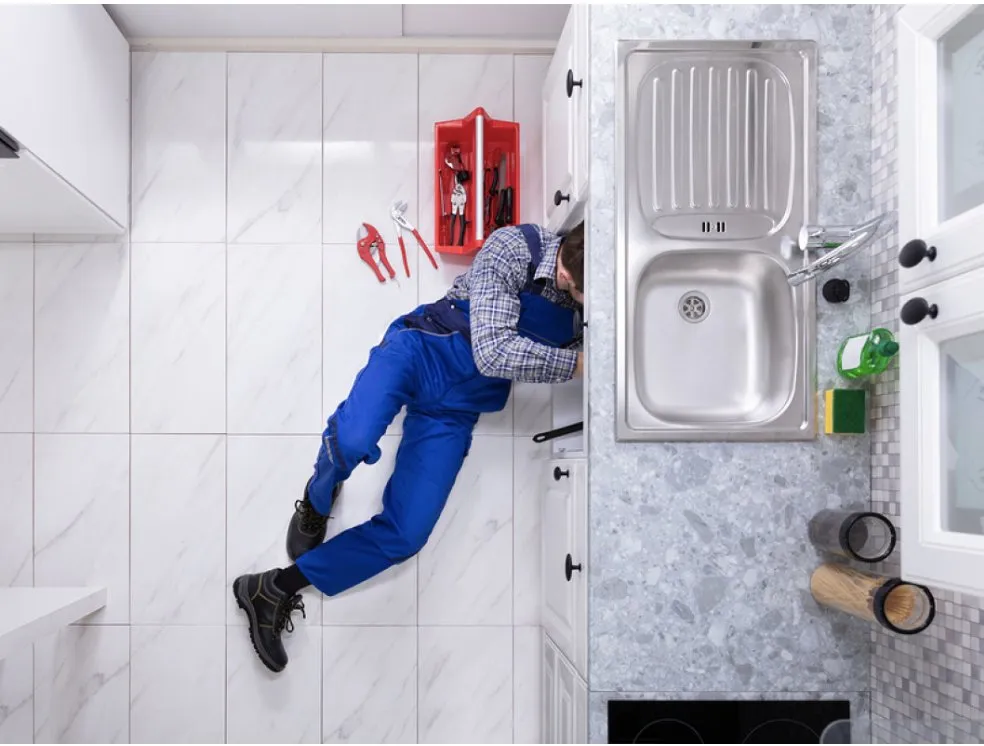 Slide of T-Rex Plumbing