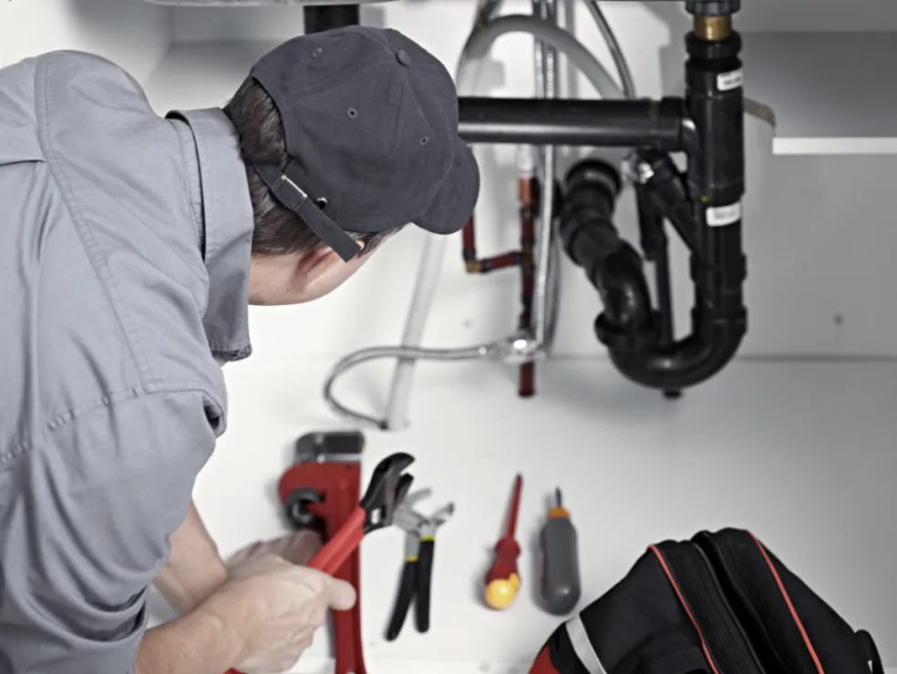 Slide of T-Rex Plumbing