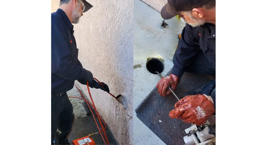 Slide of T7 Services