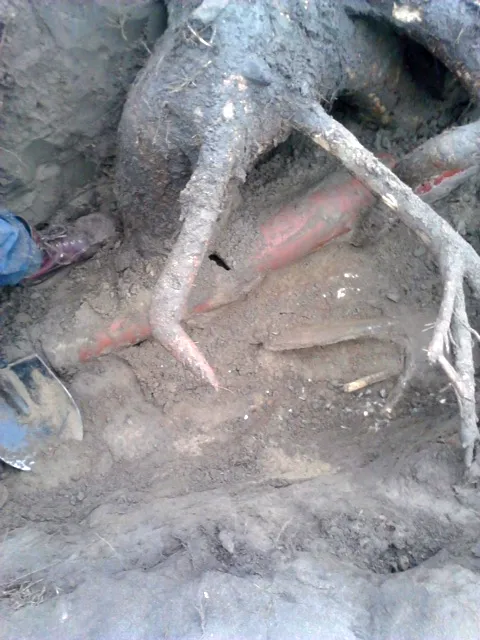 Slide of Tab Rooter & Plumbing