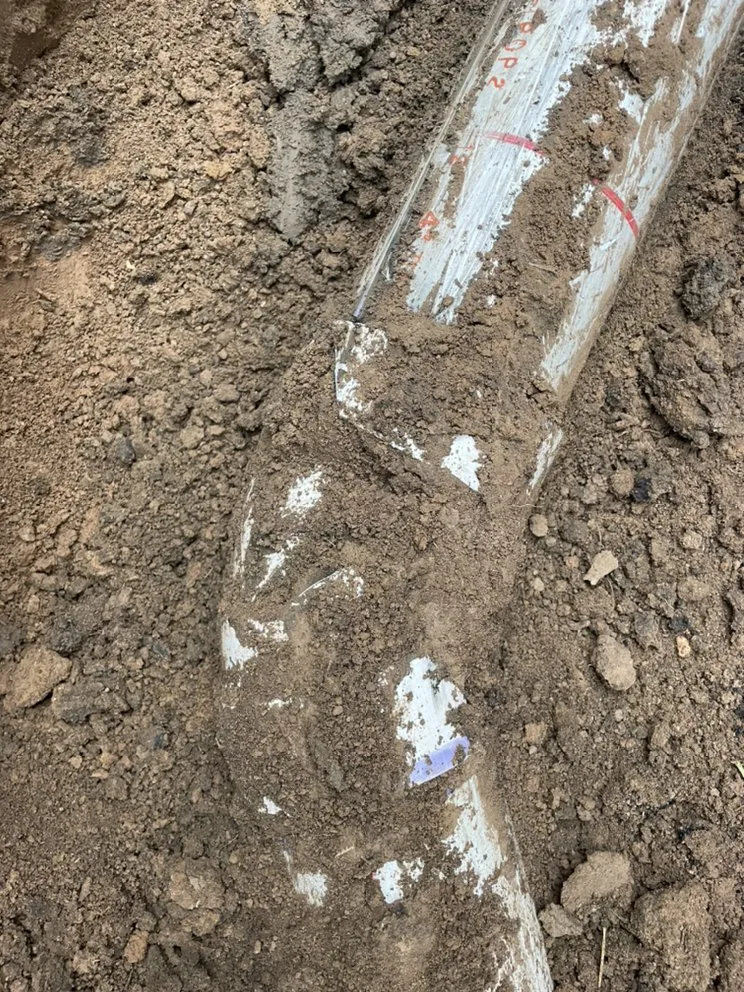 Slide of Tacho Reyes