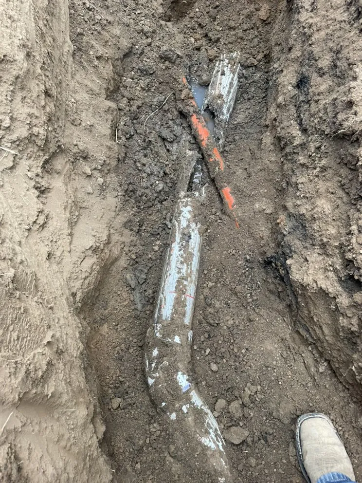 Slide of Tacho Reyes