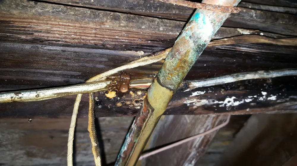 Slide of Tacker Plumbing