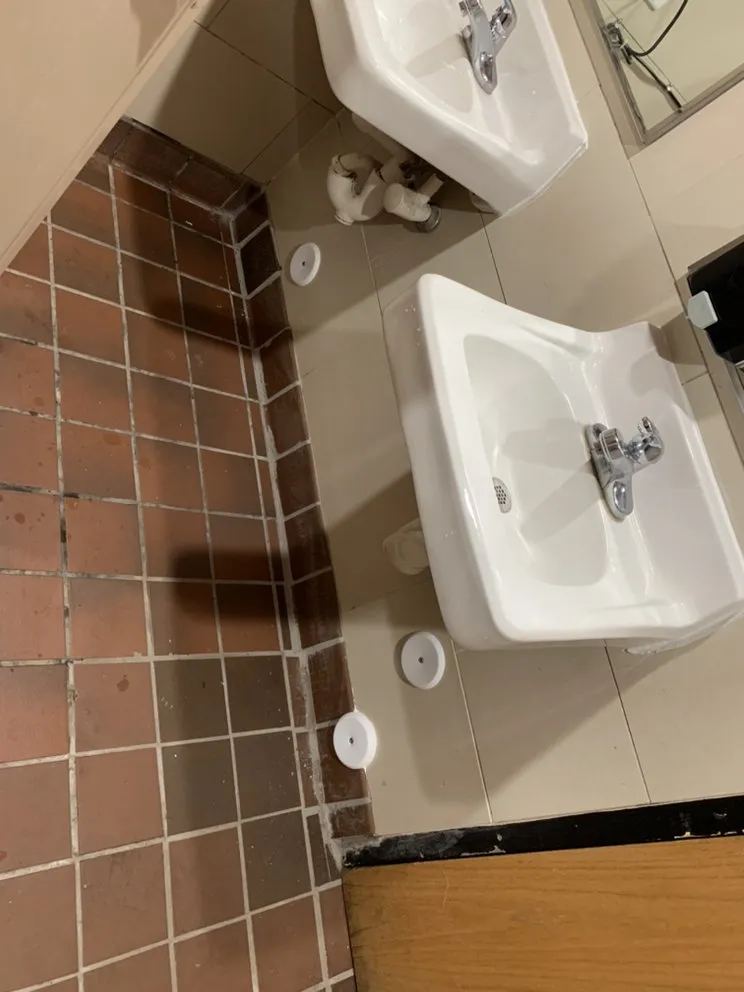 Slide of Tae’s Mechanical N Stuff