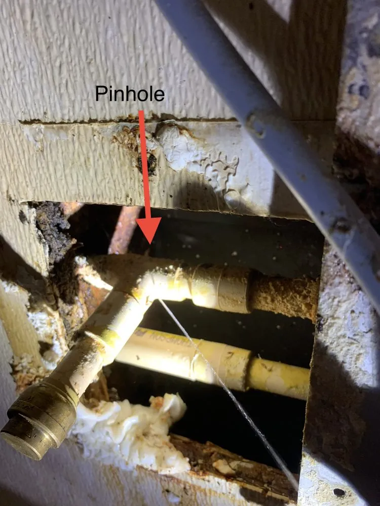 Slide of Tampa's Plumbing Solution