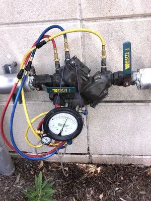 Tan Phan Backflow Testing Logo