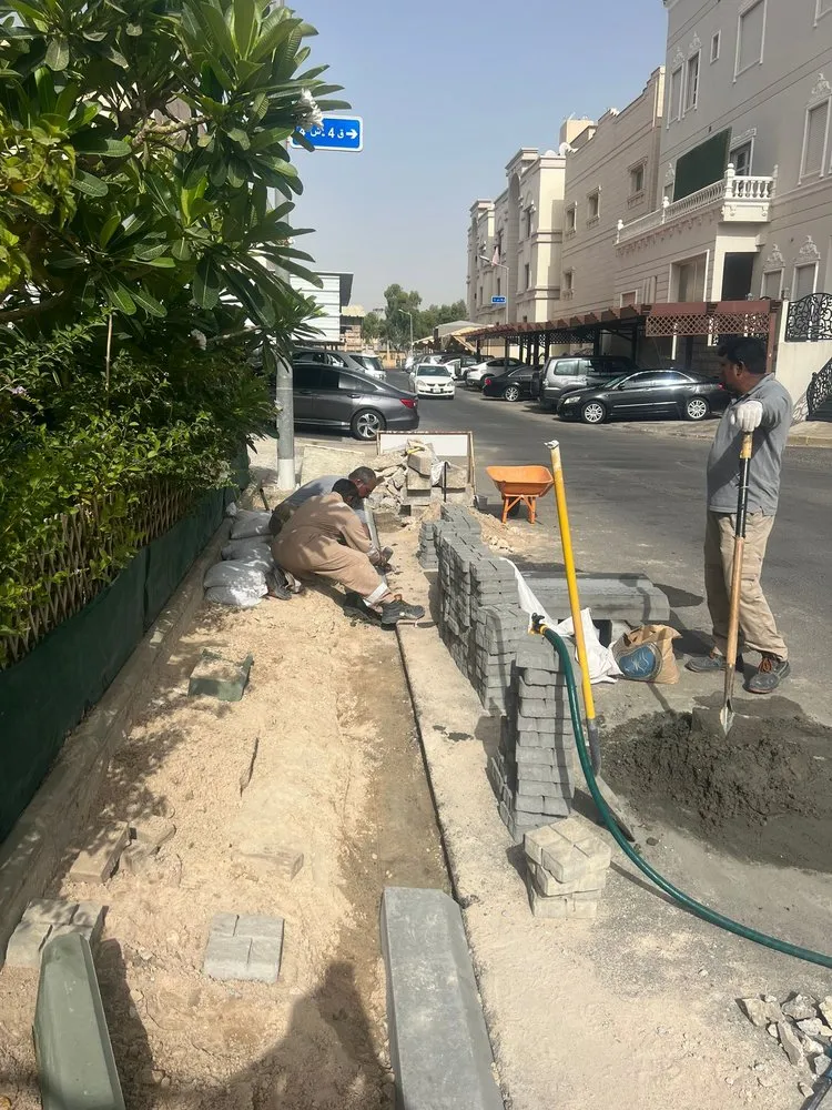 Slide of Tanveer Inayat