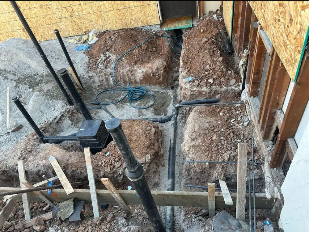 Slide of Tanveer Inayat