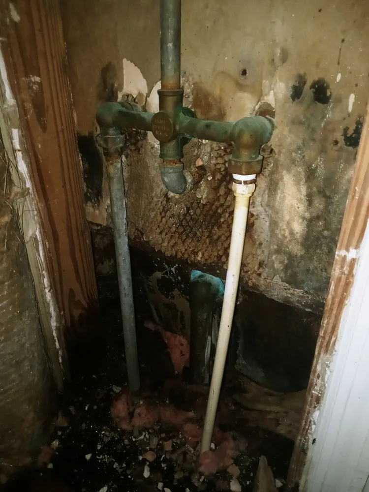 Slide of Tanya Griner Plumbers life