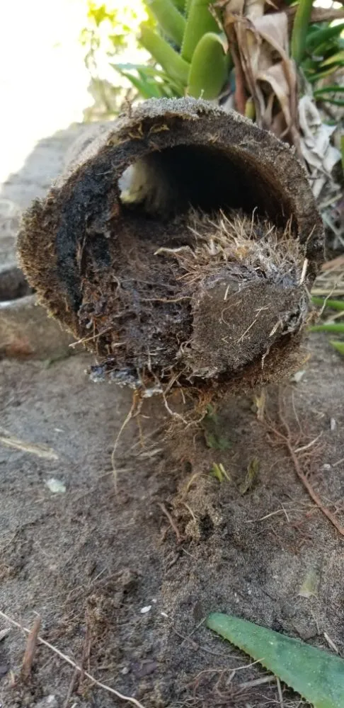 Slide of Tapia Plumbing