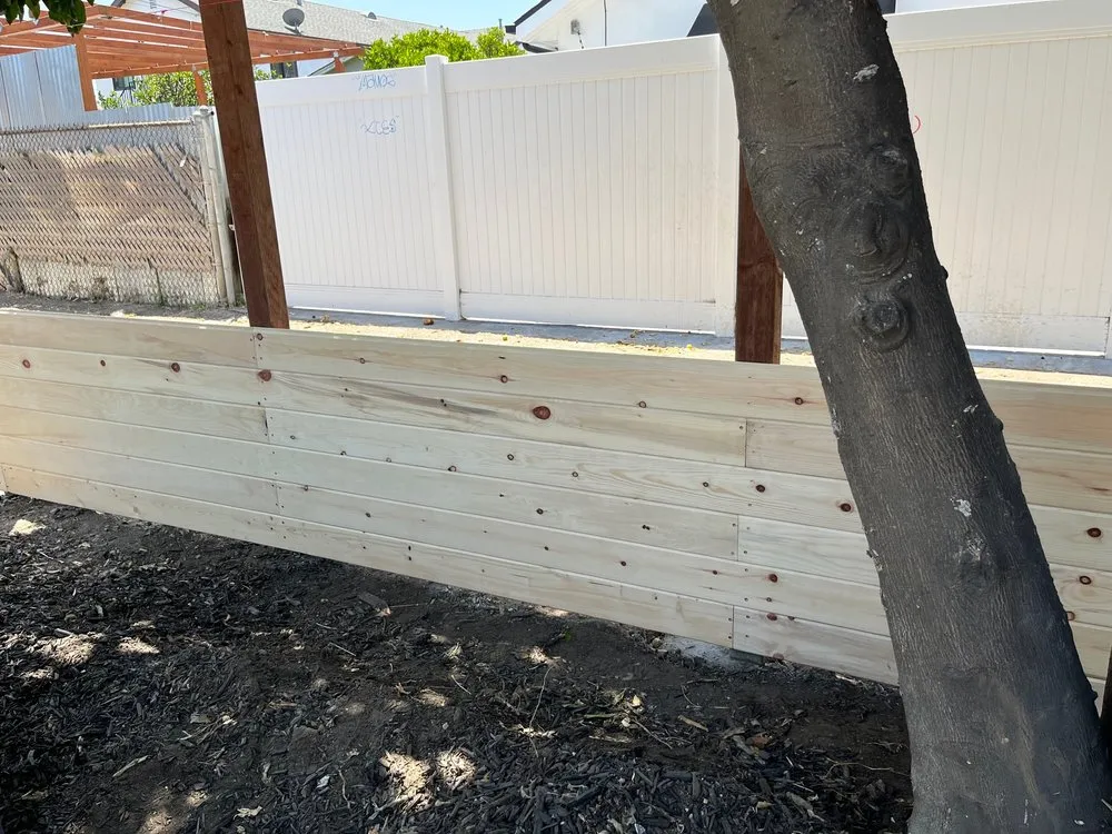 Slide of Taqui Castillo