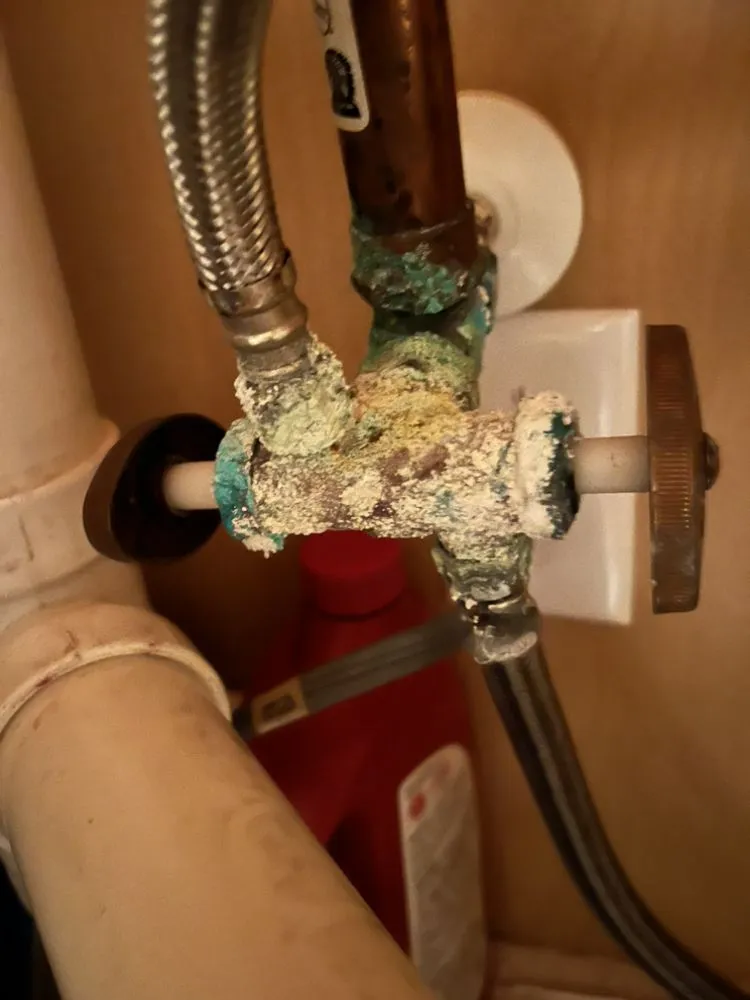 Slide of Tarpon Plumbing & Drains