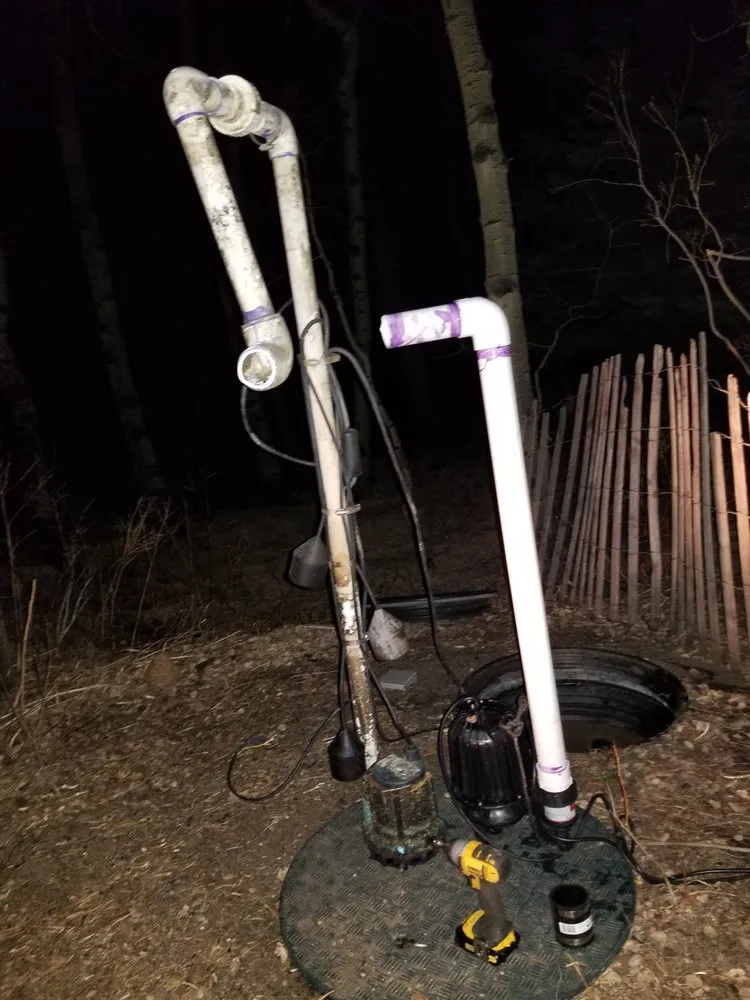 Slide of Tattoo Johnson & Son