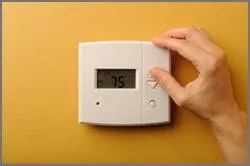 Slide of Taylor & Murphy