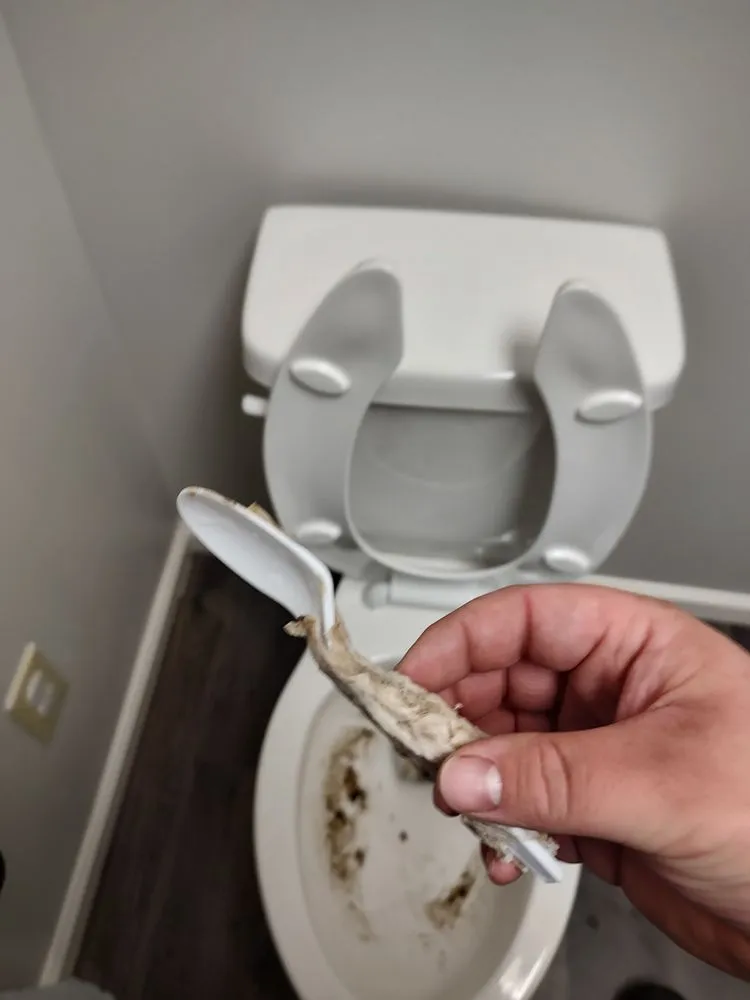 Slide of Taylor Maintenance and More