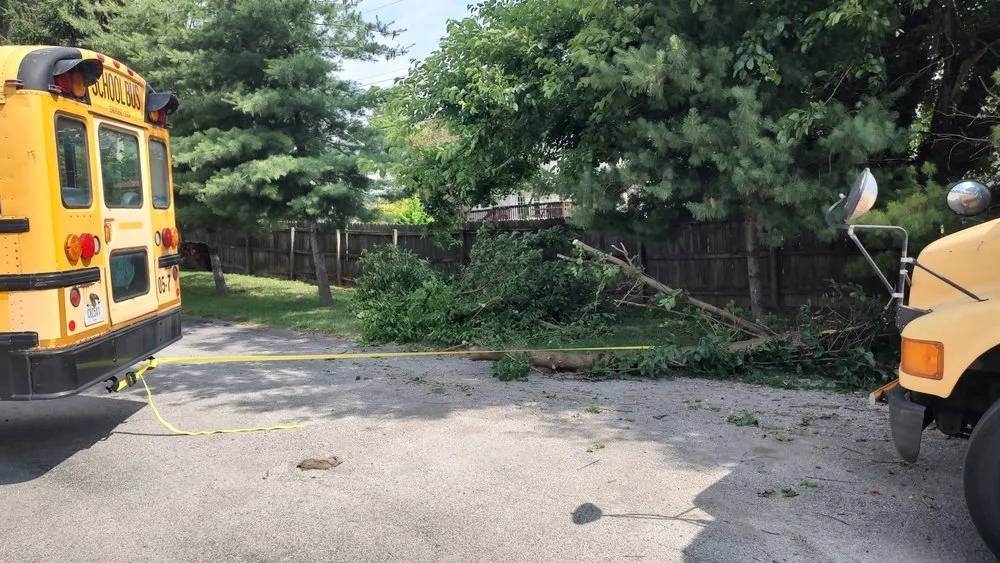 Slide of Taylor Maintenance and More