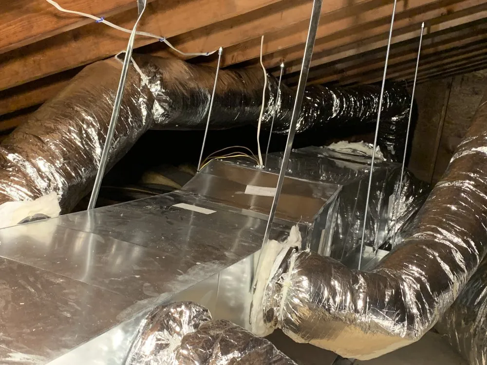 Top-rated leak detection for homes in Centereach, NY by Taylor Pros Home Services