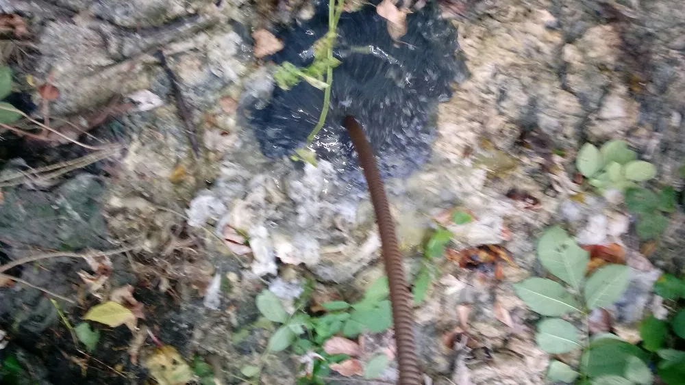 Top-rated emergency plumbing service in Indianapolis, IN - Taylor's Electric and Plumbing