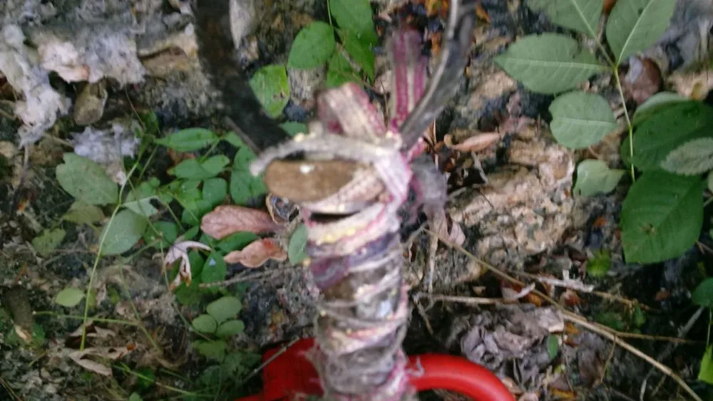 Slide of Taylor's Electric and Plumbing