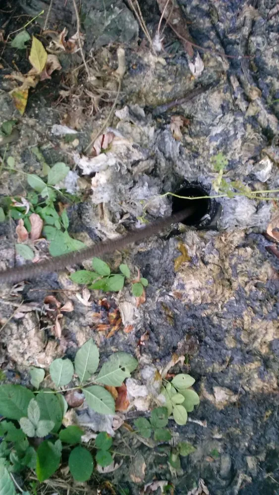 Slide of Taylor's Electric and Plumbing