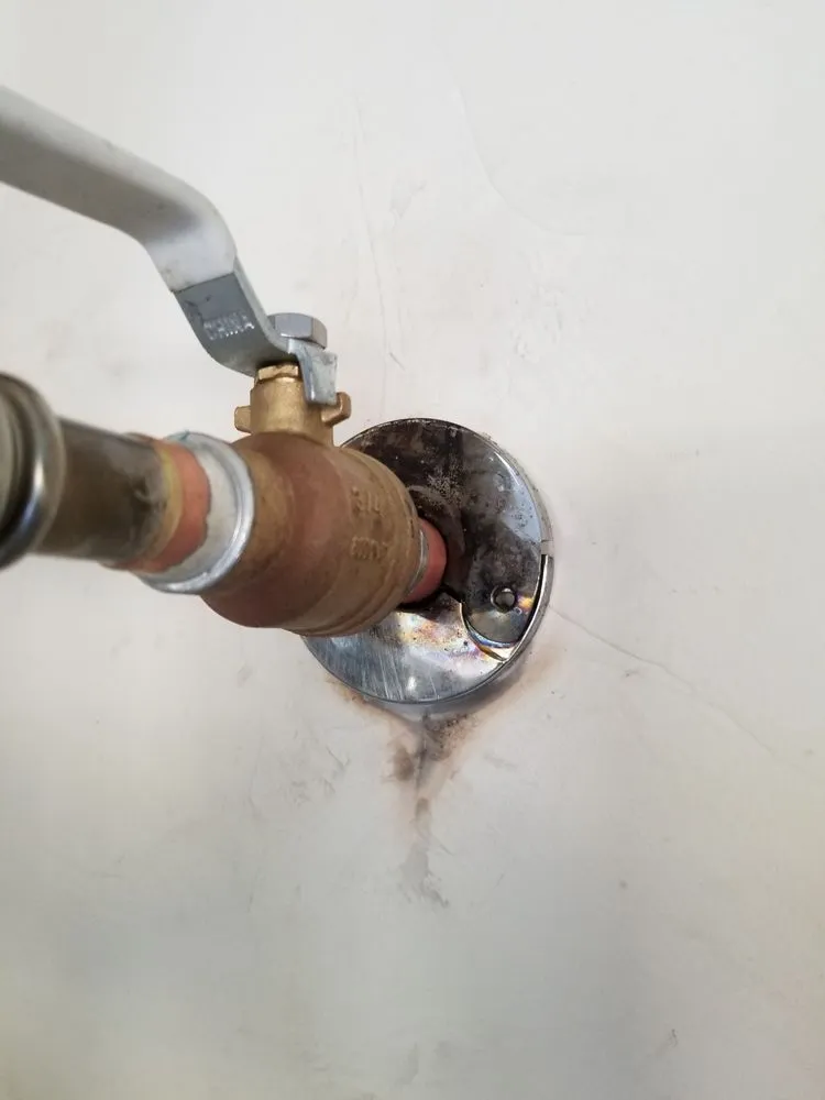 Slide of Taz Plumbing