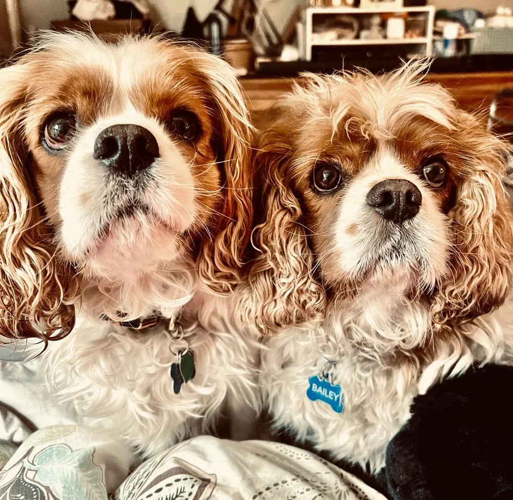 Slide of TCR Rooter & Plumbing Repair