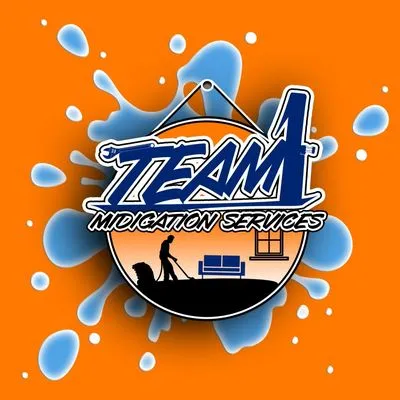 Team 1 mitigation services Logo