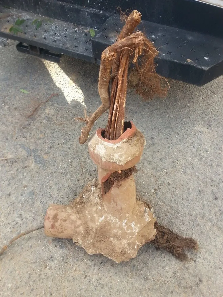 Slide of Team Alpha Plumbing & Rooter