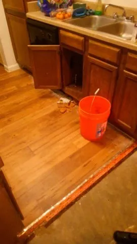 Slide of Team Flo-Right