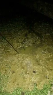 Slide of Team Flo-Right