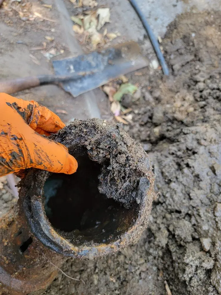 Slide of Team Rooter Plumbing