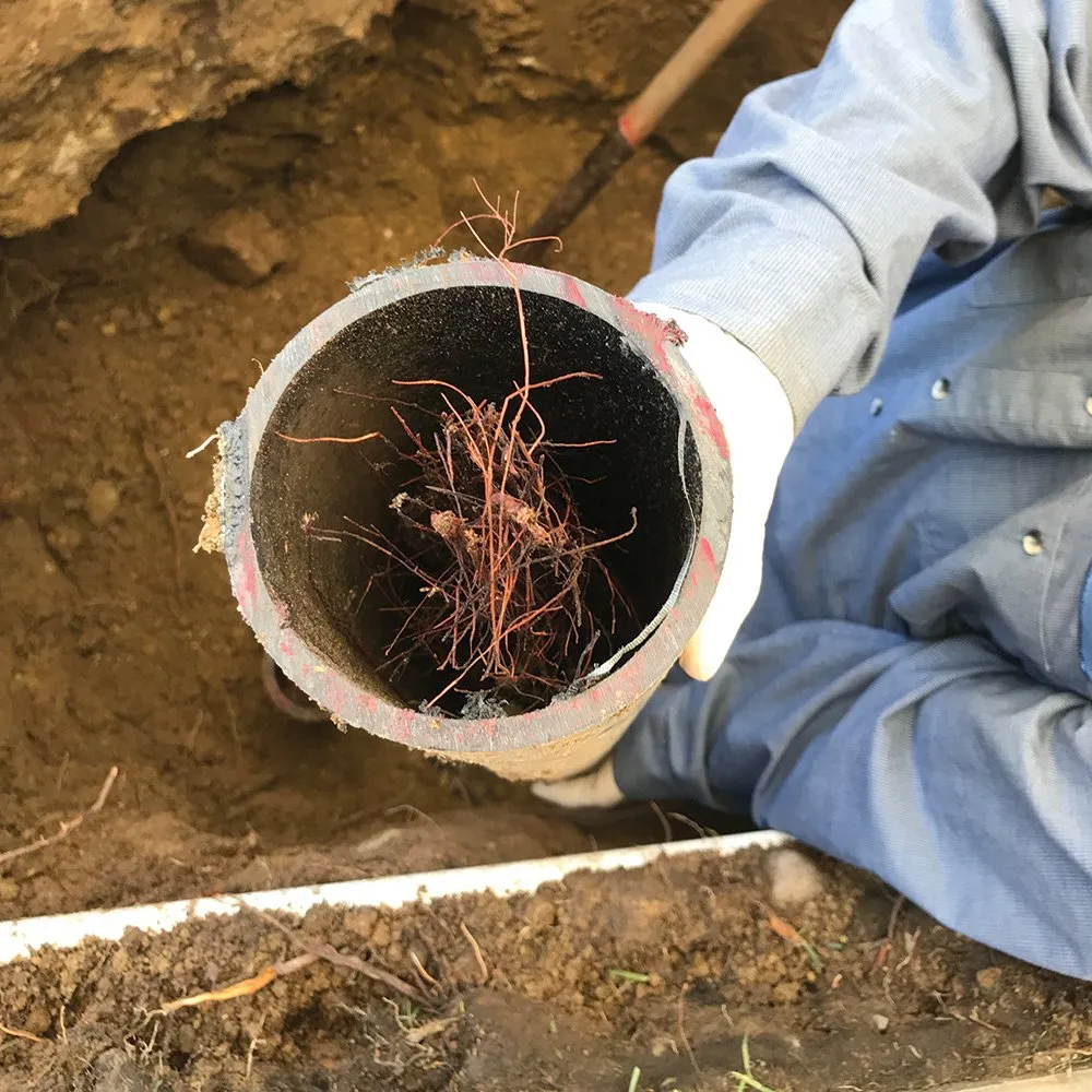 Trusted drain cleaning in Sun Valley, CA by Team Rooter Plumbing