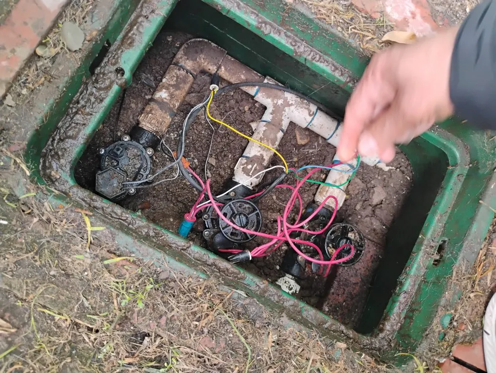 Slide of Teddy Plumbing