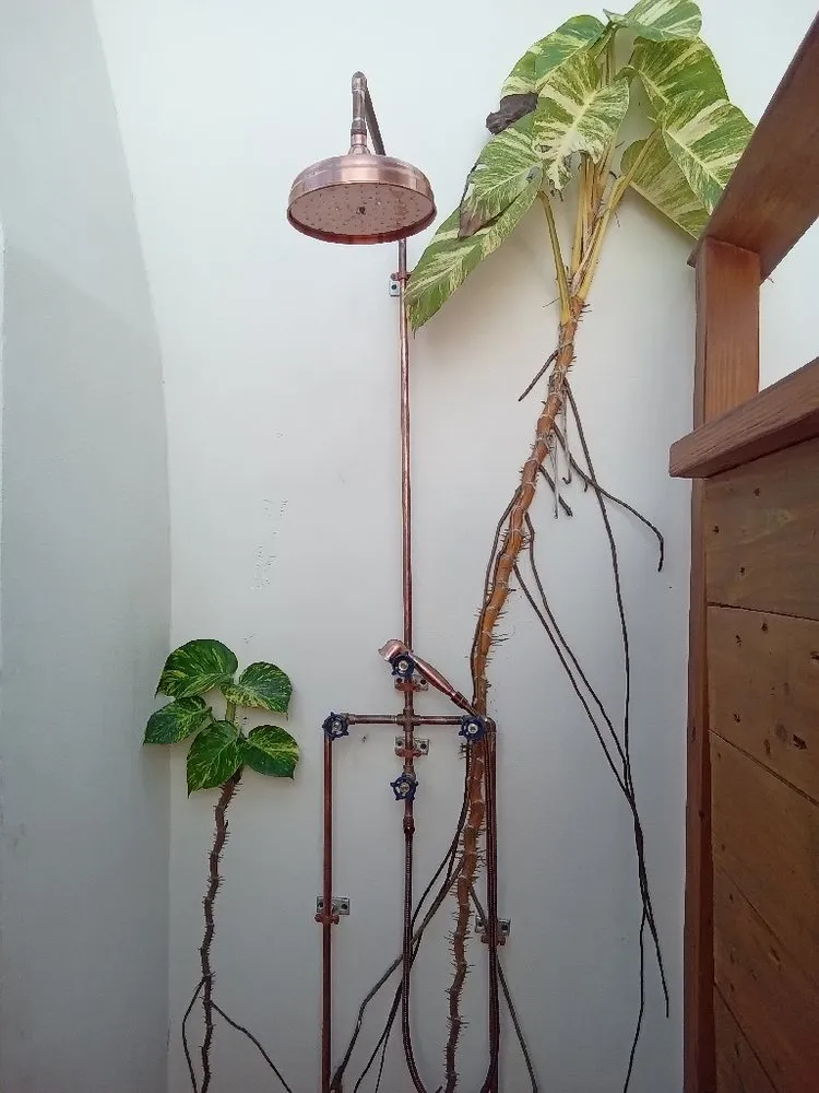 Slide of Ted's Plumbing