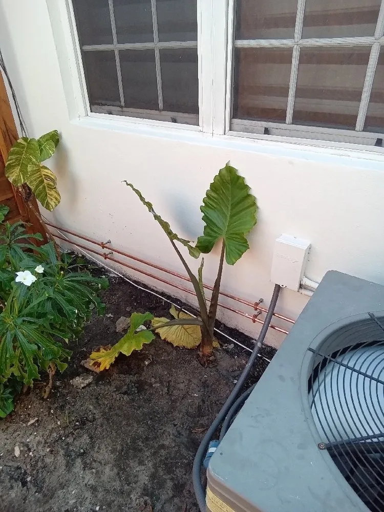 Slide of Ted's Plumbing