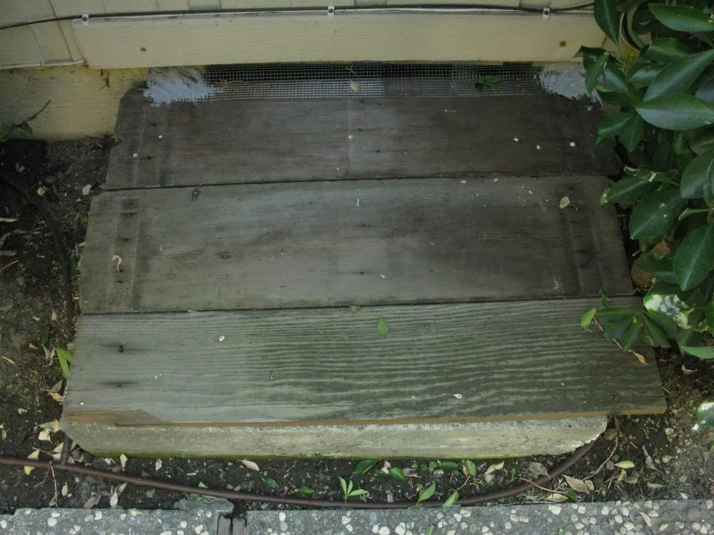 Expert plumbing repair for homes in San Jose, CA by Tegene Handyman Service