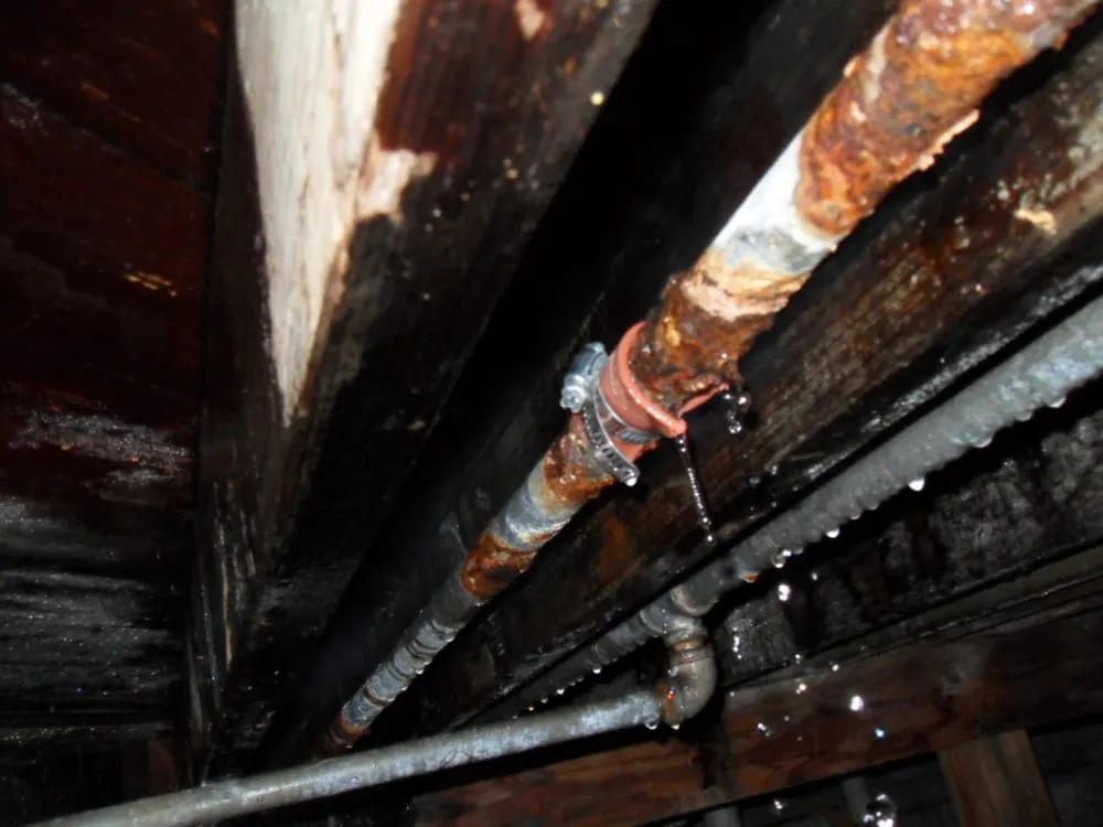 Slide of Tejeda's Plumbing