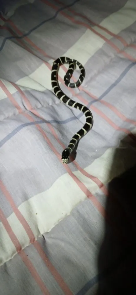 Slide of Temecula Drain Surgeon