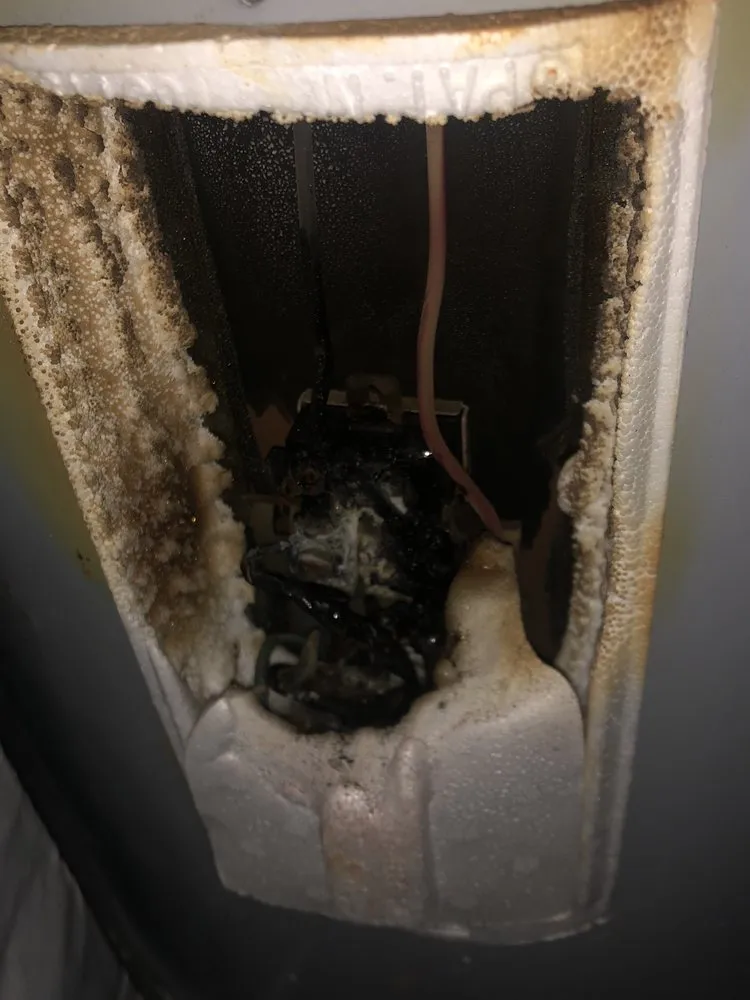 Slide of Tender Plumbing Care