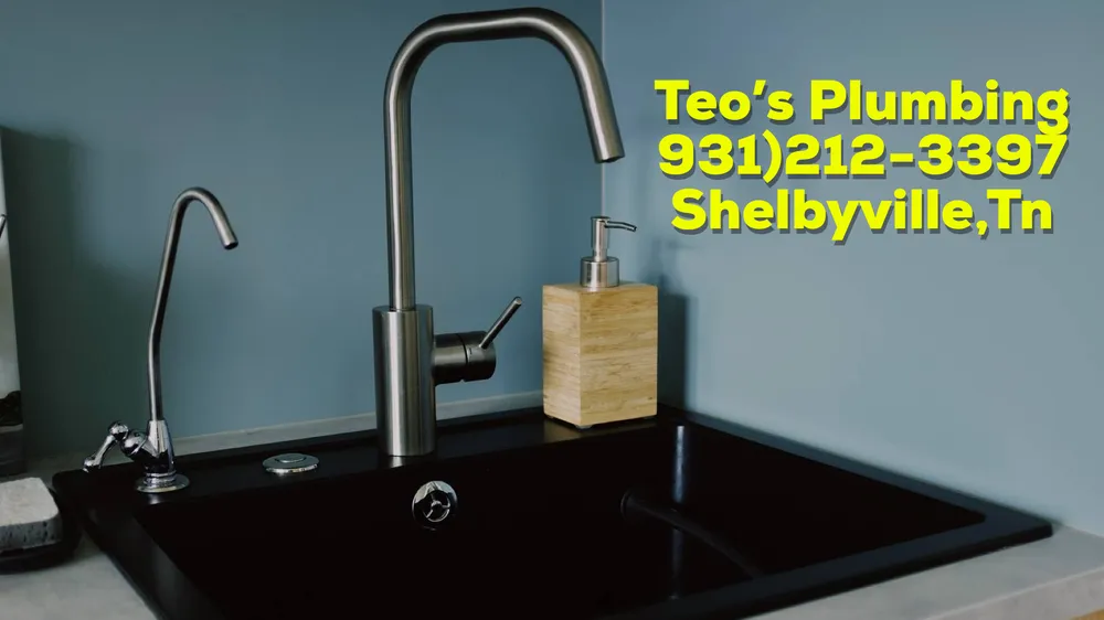 Slide of Teo's Plumbing