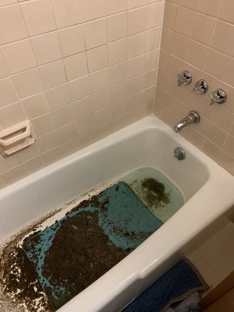 Slide of Teo's Sewer & Drain